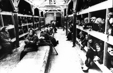 Auschwitz-Birkenau: działalność Muzeum i Stowarzyszenia Romów w Polsce.